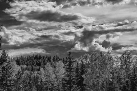 A Thunderstorm Approaches, Eagleridge, Bridge Lake, BC - ©Derek Chambers