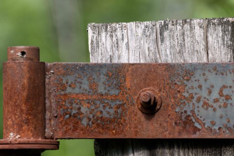 Hinge and Post, Eakin Creek Road - ©Derek Chambers