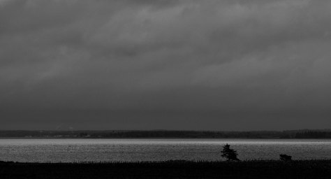 Streak of Light - ©Derek Chambers