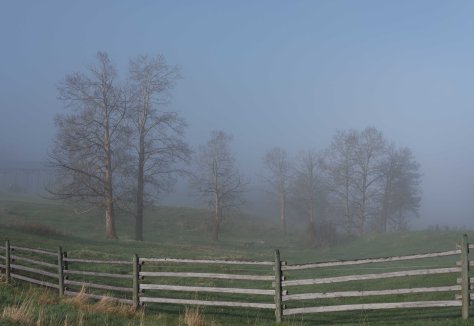 A Morning at Burnt Ridge Ranch  - ©Derek Chambers