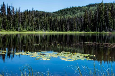 Bear Trap Lake - ©Derek Chambers