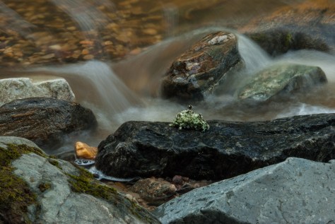 Chase Creek - ©Derek Chambers