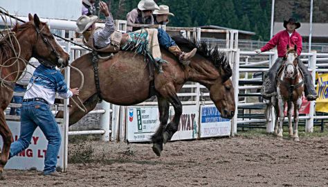 Bronc Rider, Princeton Rodeo - ©Derek Chambers