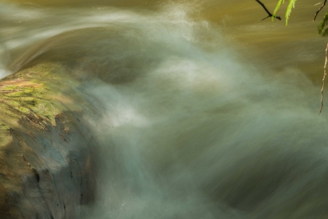 Challenging the Flow, Eakin Creek - ©Derek Chambers
