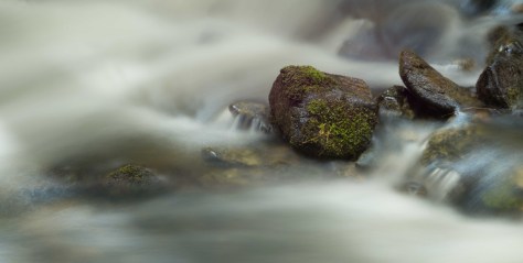 Steadfast, Eakin Creek - ©Derek Chambers