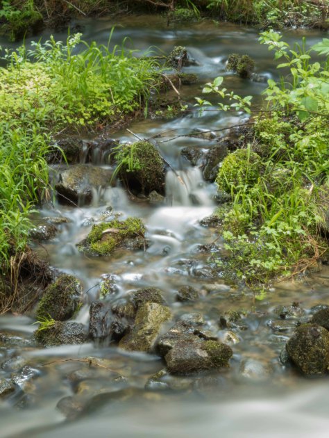 Rivulet Joining Eakin Creek - ©Derek Chambers