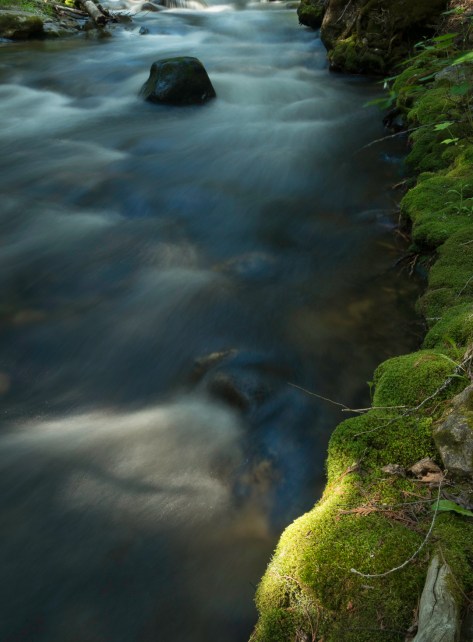 Eakin Creek Canyon _DSC5798- ©Derek Chambers