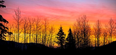 Eagleridge Sunrise- ©Derek Chambers