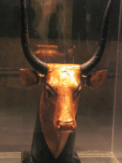 IMG_0255- ©Derek Chambers