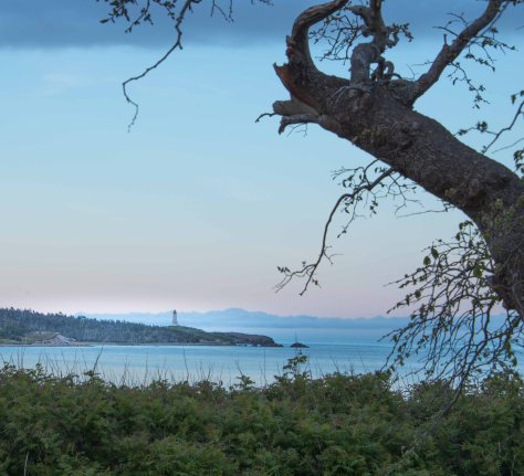 Louisbourg Lighthouse - ©Derek Chambers