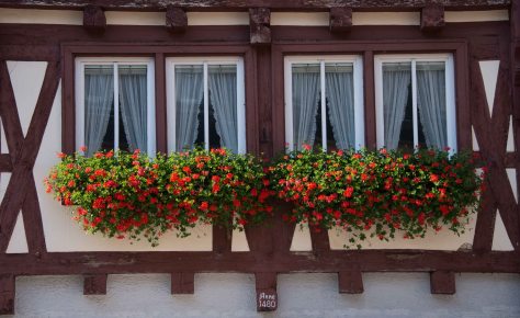 Miltenberg - Window Detail - ©Derek Chambers
