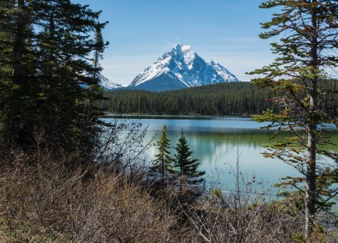 Mt Fryatt over Leach Lake - Jasper National Park - ©Derek Chambers