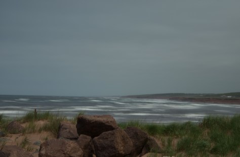 A Brisk Wind Blowing at North Lake, PEI - ©Derek Chambers