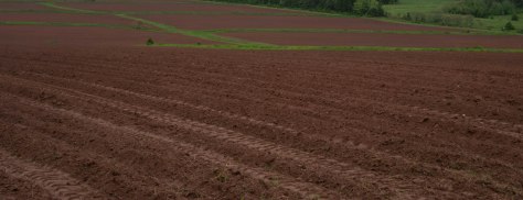 PEI Potato Fields - ©Derek Chambers