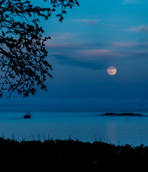 Full Moon Rising At Louisbourg - ©Derek Chambers