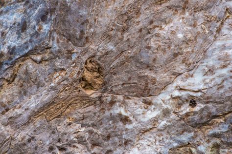 Rockface - Eakin Creek Road - ©Derek Chambers