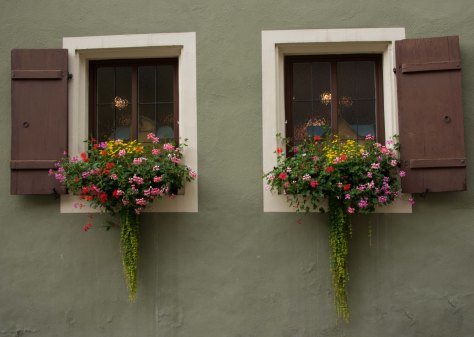 Rothenberg - Window Detail - ©Derek Chambers