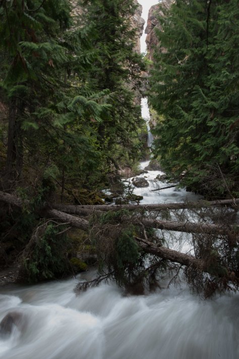 Sinclair Falls, Radium Hot Springs - ©Derek Chambers