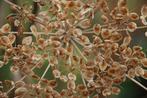 Symmetry - ©Derek Chambers