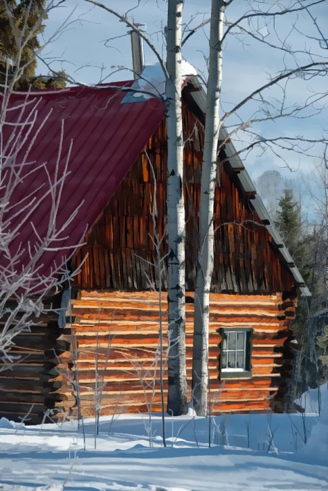 The Old Cabin - ©Derek Chambers