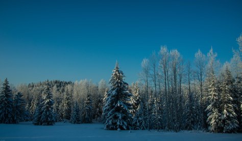 Winter Morning - Eagleridge - ©Derek Chambers