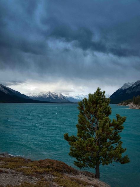 Abraham Lake - ©Derek Chambers