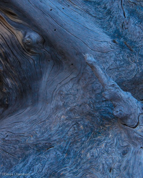 Swirls - ©Derek Chambers