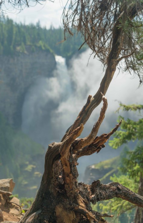 Gnarly 2014-07-19- ©Derek Chambers