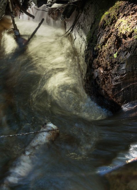 Down the Drain - DSC4005- ©Derek Chambers