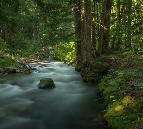 Eakin Creek Canyon - ©Derek Chambers
