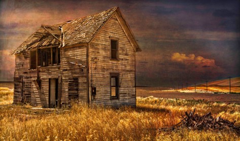 _DSC7985-923-925- ©Derek Chambers-3-2