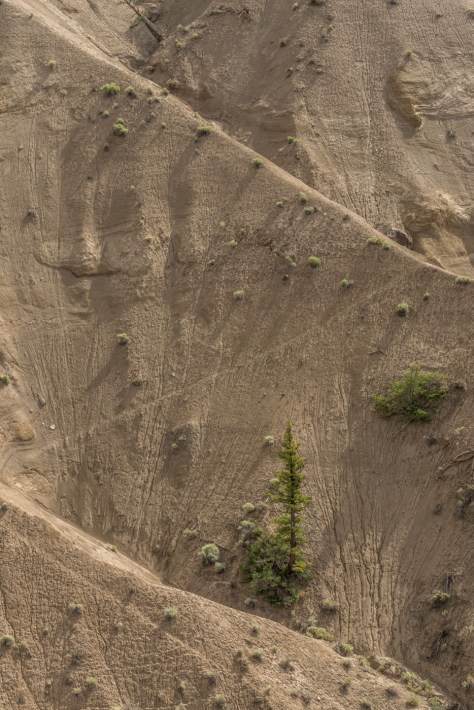 Farwell Canyon - ©Derek Chambers