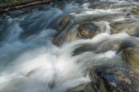 Going Somewhere - ©Derek Chambers