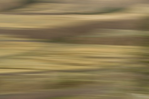 Grasslands Impression - ©Derek Chambers