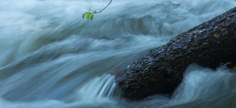 Photo Bomb  - ©Derek Chambers