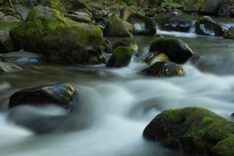 Eakin Creek Canyon - DSC4084 20140810- ©Derek Chambers