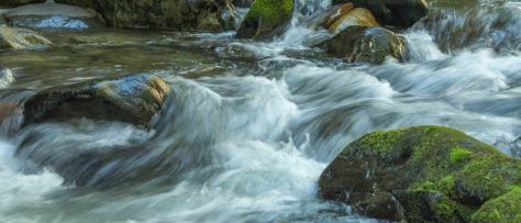 Eakin Creek Canyon - DSC4087 20140810- ©Derek Chambers-2