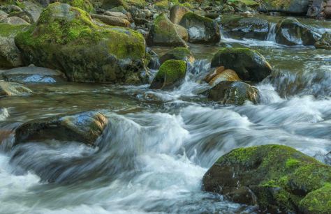 Eakin Creek Canyon - DSC4087 20140810- ©Derek Chambers