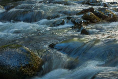 Eakin Creek Canyon - DSC4108 20140810- ©Derek Chambers
