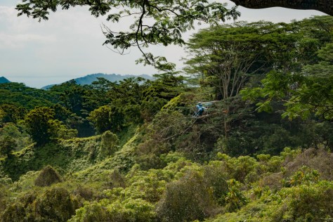20160323 Kuilau Ridge Trail _DSC1477-188- ©Derek Chambers