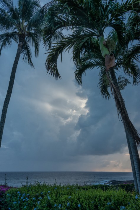 20160324 Koloa _DSC1497-193-194- ©Derek Chambers