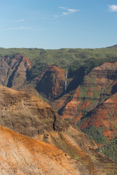 _DSC5180- ©Derek Chambers