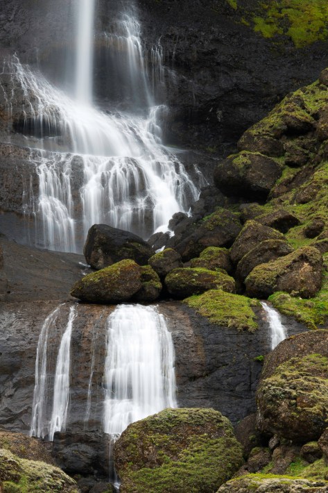 One of Ten Thousand - ©Derek Chambers