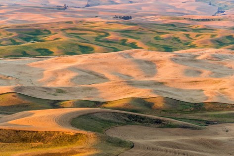 Early Morning - Palouse - ©Derek Chambers