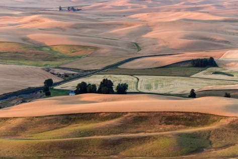 Here Comes the Sun - Palouse - ©Derek Chambers