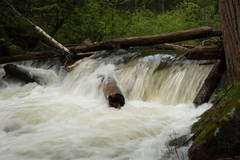 Log Jam, Eakin Creek Canyon Provincial Park  _DSC1643-1369- ©Derek Chambers