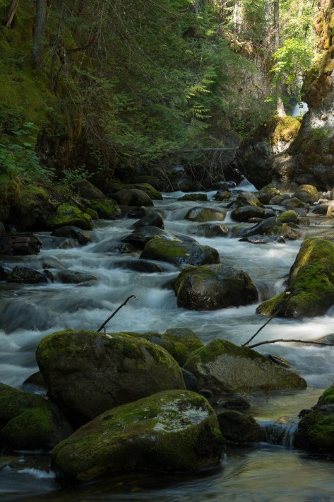 Eakin Creek Canyon and Falls - DSC4091- ©Derek Chambers