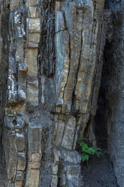 _DSC1899- ©Derek Chambers