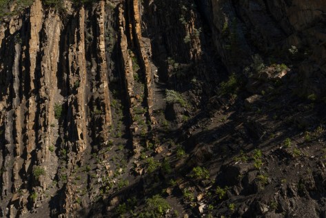 _DSC1903-1456- ©Derek Chambers