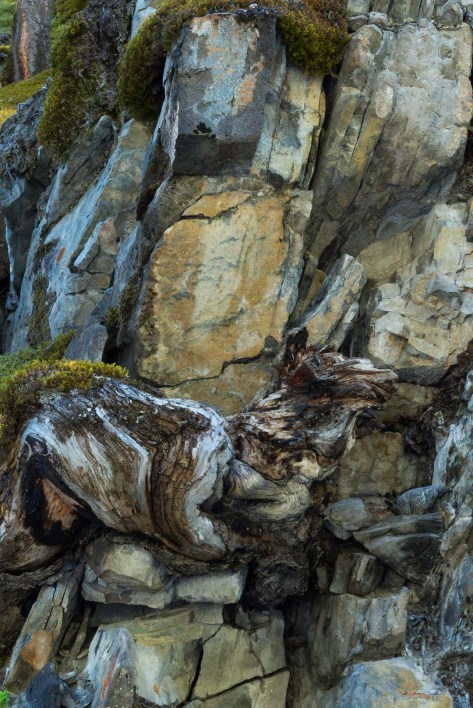 _DSC1904- ©Derek Chambers